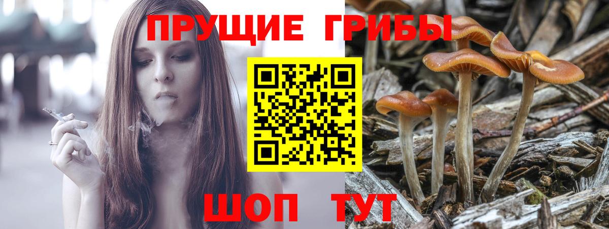 Псилоцибиновые грибы прущие грибы Белая Калитва